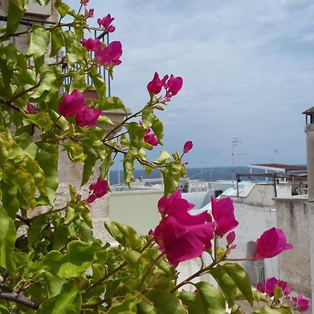 La Casetta Nel Vico Полиньяно-а-Маре Экстерьер фото